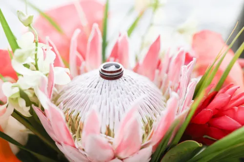 Wedding rings nestled in pink king protea and tropical flowers for Hawaii wedding
